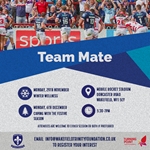 Team Mate poster